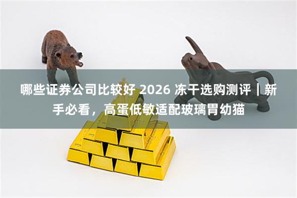 哪些证券公司比较好 2026 冻干选购测评｜新手必看，高蛋低敏适配玻璃胃幼猫